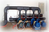 public aquarium conception in aquaculture, hatchery, fish farming, pisciculture studies and project,how the create a fish farm